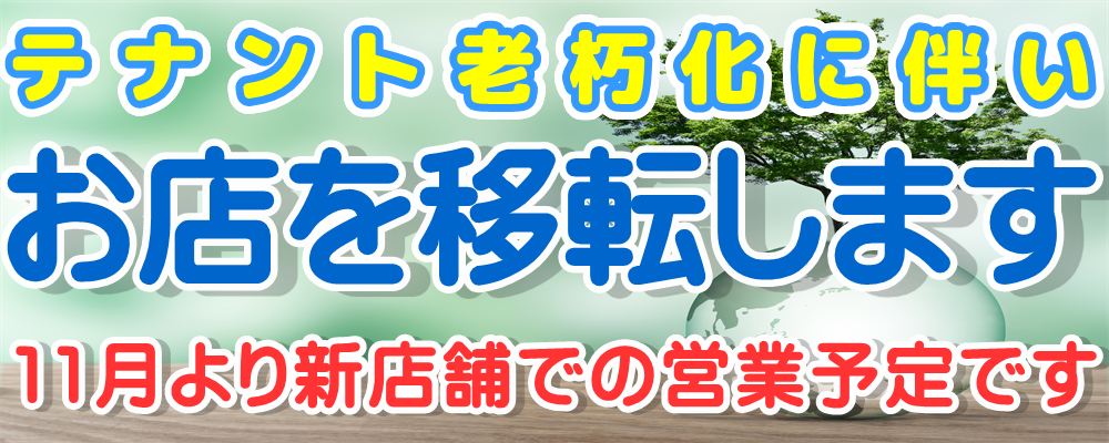 損害保険/自動車保険トータルアシスト 住宅総合保険/火災保険