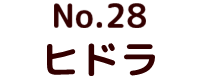 No.24 ゴジラ ポピー キングザウルス ソフビ紹介