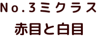 No.24 ゴジラ ポピー キングザウルス ソフビ紹介
