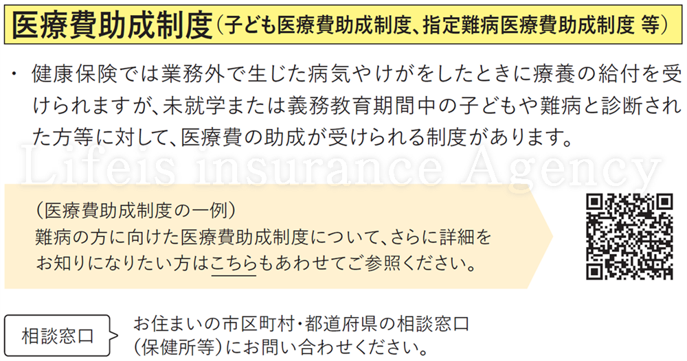・医療費助成制度 金融庁資料の拡大　スマホで見やす