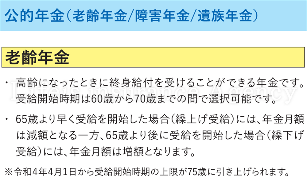 ・老齢年金 金融庁資料の拡大　スマホで見やすい