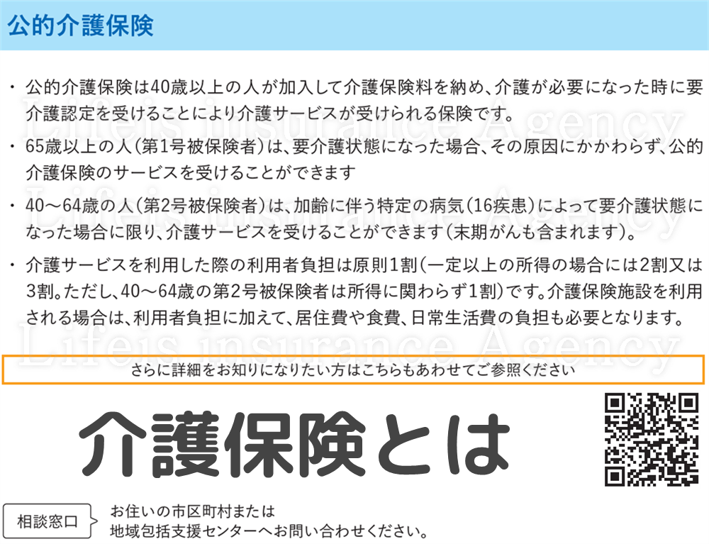 公的介護保険 金融庁資料イメージ図の拡大
