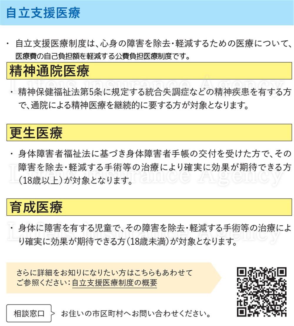 ・自立支援医療の仕組み 金融庁資料イメージ図の拡大　スマホで見やすい