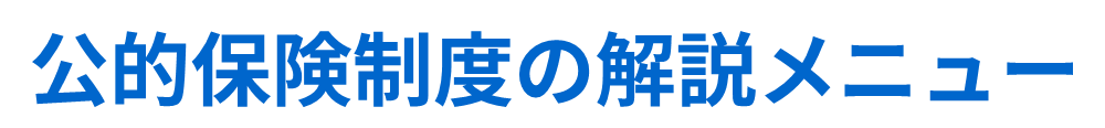 公的保険制度の解説