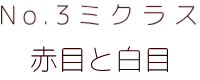 No.24 ゴジラ ポピー キングザウルス ソフビ紹介