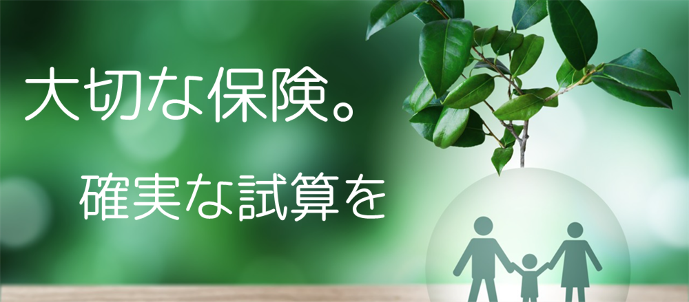 ※ドライバー保険の取扱は御座いません。